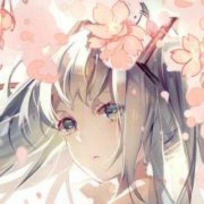 4只皮皮虾1035元餐馆和司机被调查